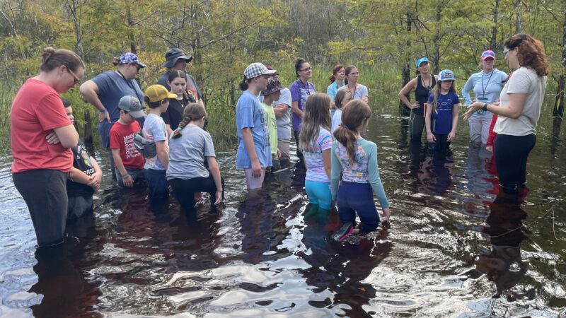 Kids can walk in the waters of Six Mile Cypress Slough